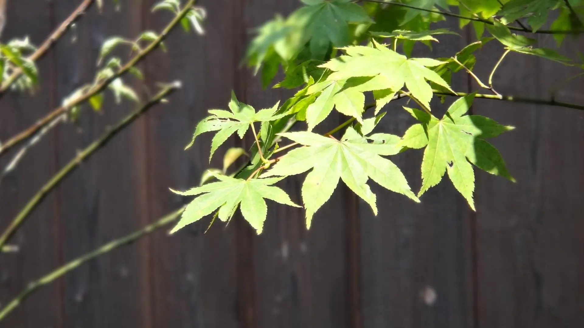 Machiya Oozora Villa Kyoto Japan