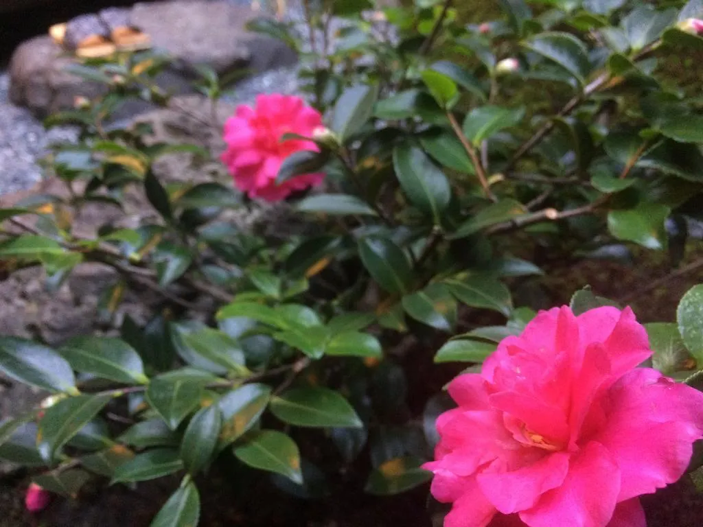 Holiday home Machiya Oozora Villa Kyoto